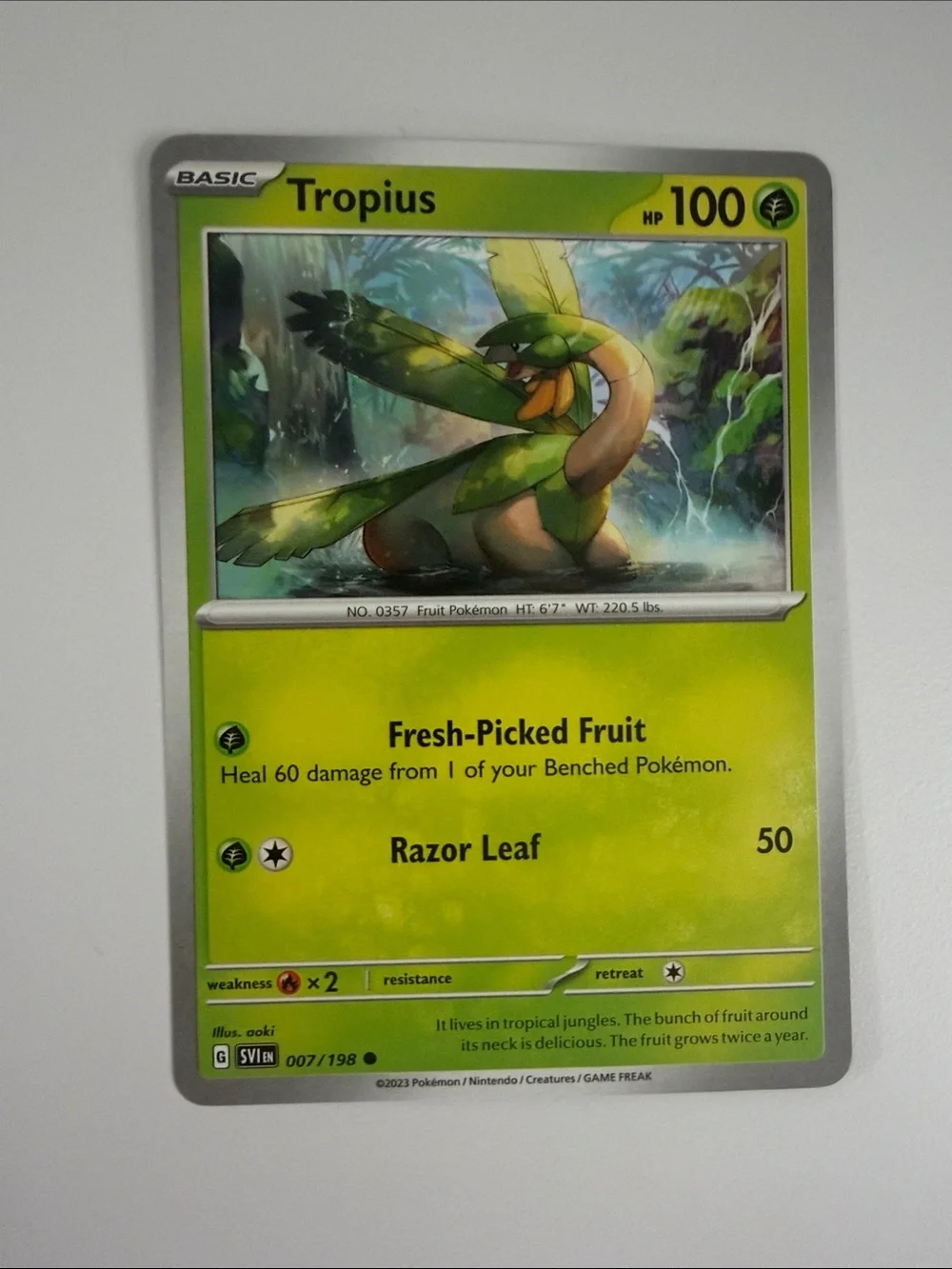 🌿 Forest Pokémon Card Lot | Tropius Maractus Burmy Wormadam Crustle ✨5/$25✨